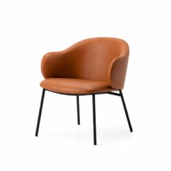 Holly Calligaris CS3417 -1
