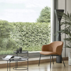Holly | Calligaris CS3417 P15 SLS -2